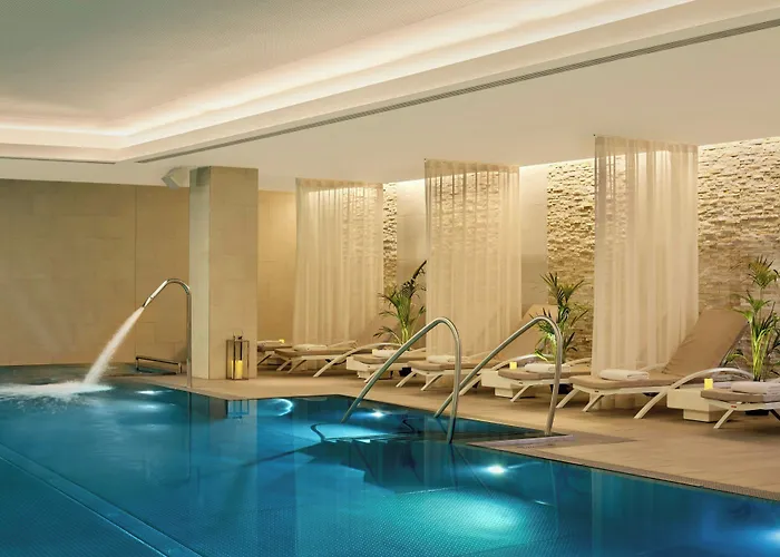 The Ritz-carlton, Отель Вена